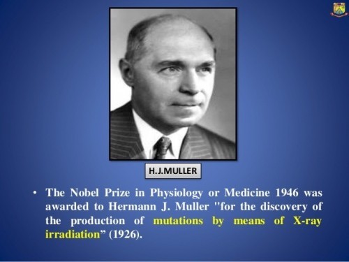 11 giải thưởng nobel có mức độ ảnh hưởng lớn đến thế giới