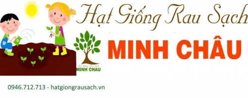 10 địa chỉ bán đất sạch trồng rau đảm bảo nhất ở TP. Hồ Chí Minh