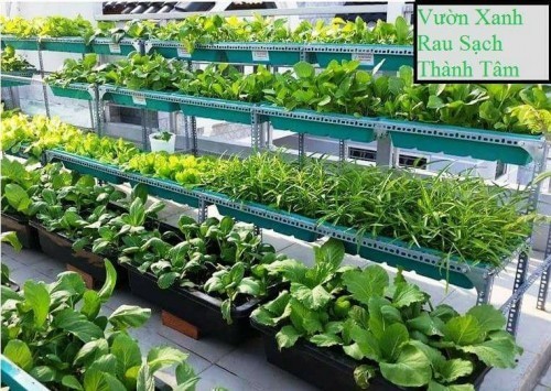 10 địa chỉ bán đất sạch trồng rau đảm bảo nhất ở tp. hồ chí minh