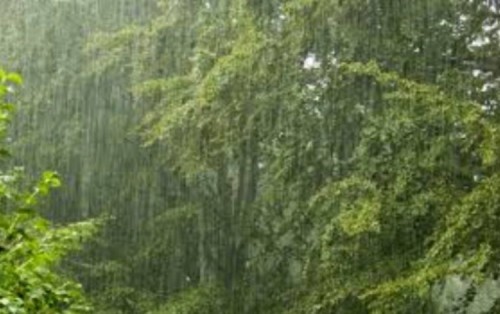 14 Bài thơ hay về mưa ngâu