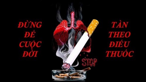 10 Bài văn thuyết minh về tác hại của thuốc lá hay nhất
