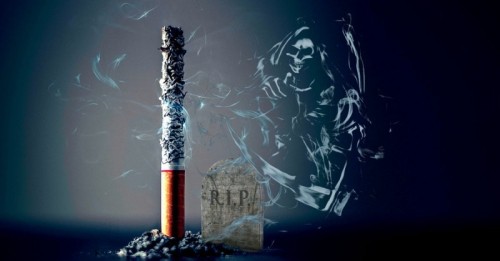 10 bài văn thuyết minh về tác hại của thuốc lá hay nhất