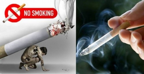 10 bài văn thuyết minh về tác hại của thuốc lá hay nhất