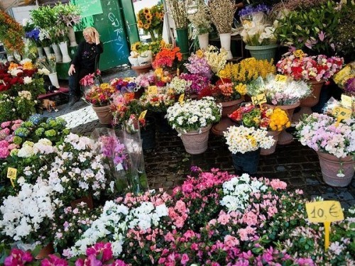 8 chợ hoa đẹp nhất hà nội
