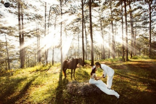 10 địa điểm chụp ảnh cưới đẹp và lãng mạn nhất tại lâm đồng