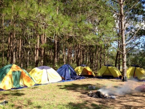 5 địa điểm cắm trại lí tưởng, gần gũi với thiên nhiên tại đà lạt