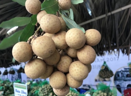 10 loại trái cây có giá trị kinh tế cao ở Việt Nam