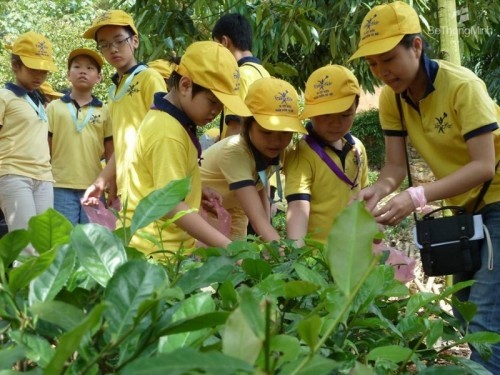 7 trung tâm dạy kỹ năng sống cho trẻ tại hà nội