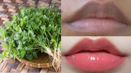 9 cách trị thâm môi tại nhà hiệu quả và đơn giản nhất