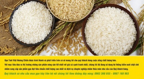 8 công ty kinh doanh gạo tại Hà Nội uy tín và chất lượng nhất