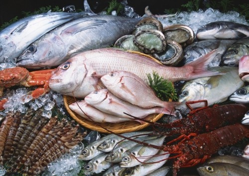 8 địa chỉ mua hải sản giá rẻ và uy tín nhất tại quảng ninh