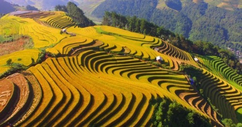 18 Điểm đến đẹp nhất theo mùa tại Việt Nam