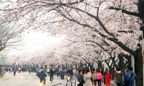 10 địa điểm tham quan tại seoul, hàn quốc thú vị nhất