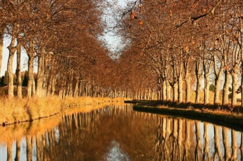 8 con đường mùa thu đẹp nhất thế giới