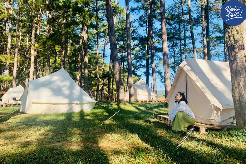 campart by mợ jen, campart đà lạt, địa điểm du lịch đà lạt, khám phá campart đà lạt – điểm cắm trại trong rừng, sát bên hồ suối vàng siêu lãng mạn