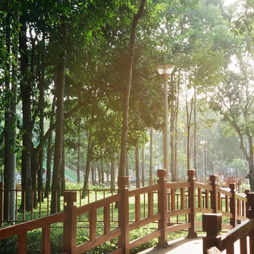 Công viên Gia Định: Vườn xanh giữa lòng Sài Gòn
