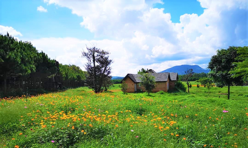 ăn chơi đà lạt, khám phá đà lạt, ngất ngây với 7 farmstay đà lạt yên bình, đẹp đến mê lòng