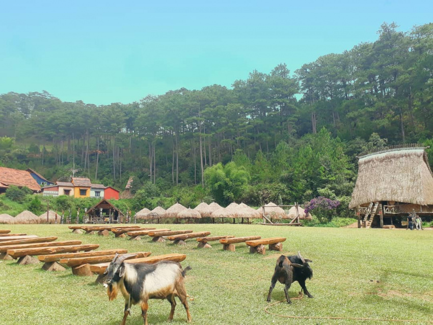 ăn chơi đà lạt, khám phá đà lạt, đà lạt tháng 10 – đắm mình trong tiết trời đẹp nhất trong năm