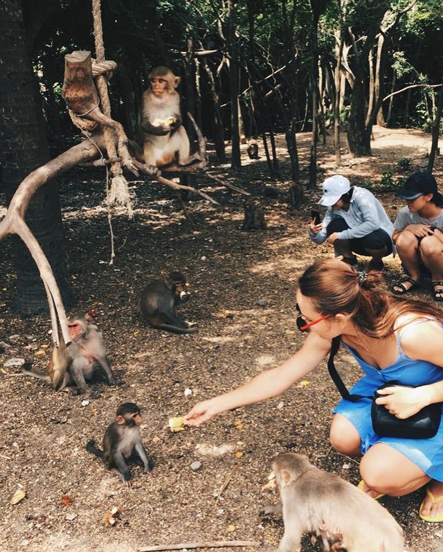 ăn chơi nha trang, khám phá nha trang, khám phá “hoa quả sơn” thu nhỏ ngay tại khu du lịch đảo khỉ