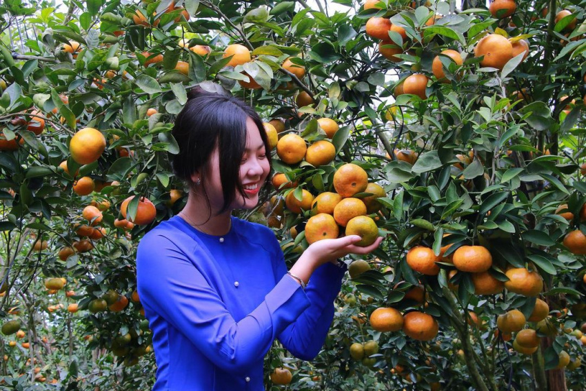 ‘Fruit tour’ với 7 vườn trái cây Bến Tre vào mùa cực hấp dẫn