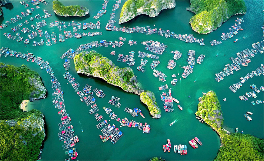 Review kinh nghiệm chèo thuyền kayak vịnh Lan Hạ cho ai đi lần đầu