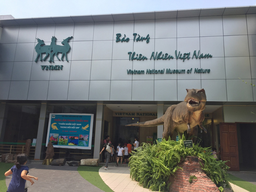 Kinh nghiệm khám phá bảo tàng Thiên nhiên Việt Nam từ A-Z