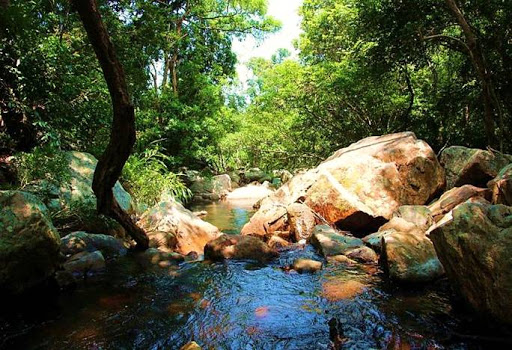Rủ nhau khám phá suối Lồ Ồ Ninh Thuận giải nhiệt nắng nóng mùa hè