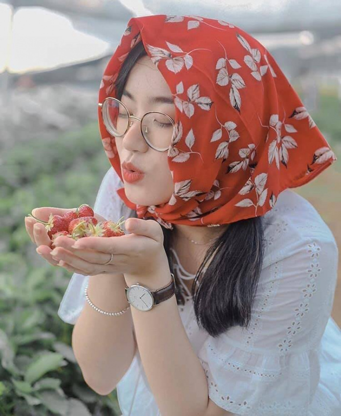 Khám phá vườn dâu tây Hà Nội Chimi Farm cực HOT