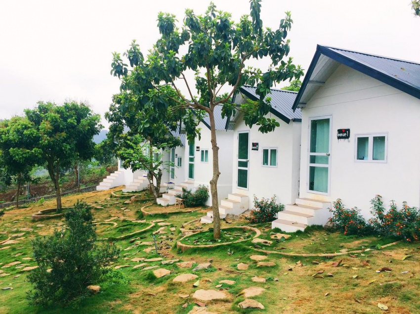 ghé đồi house mộc châu ngắm bình minh trên ngọn đồi lộng gió