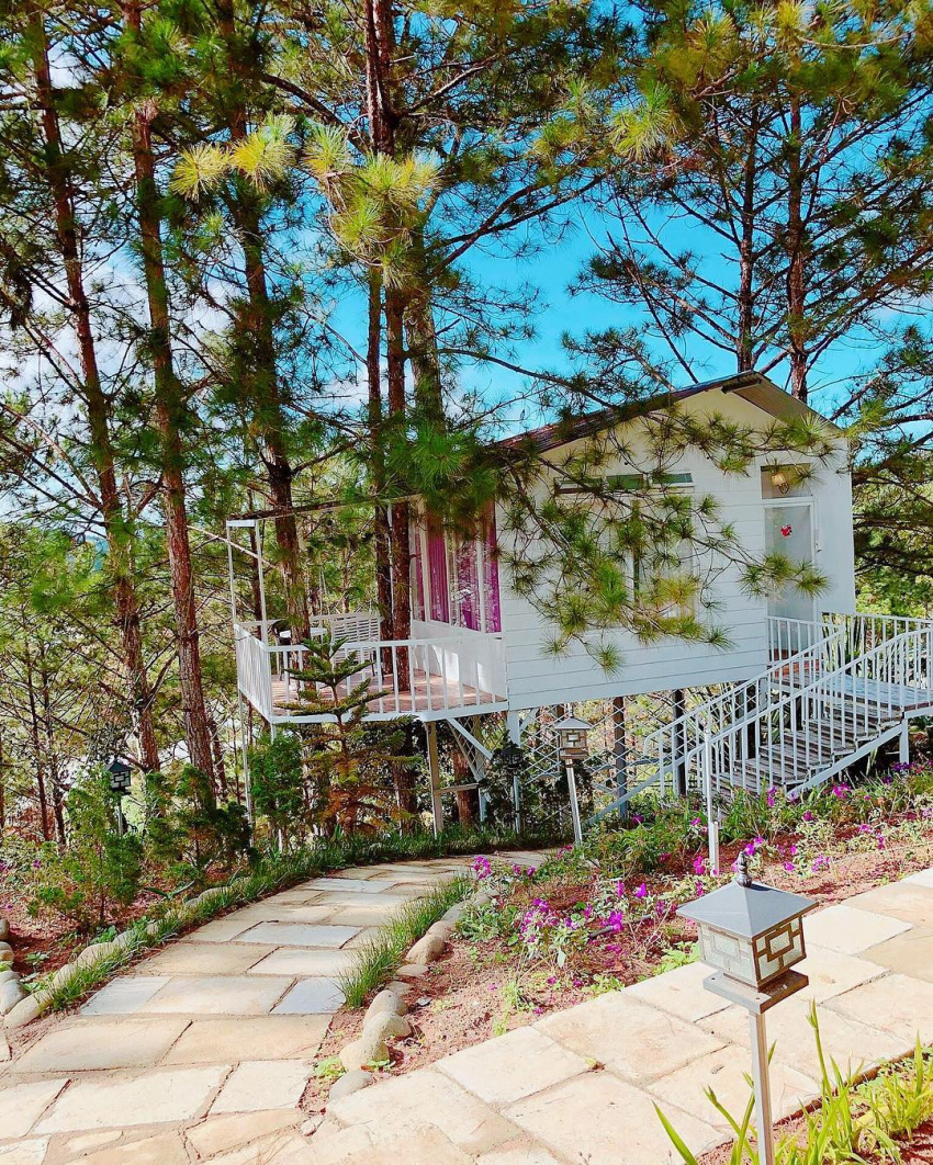 Pine Hill Homestay: Ngôi nhà cổ tích view trên cây tuyệt đẹp