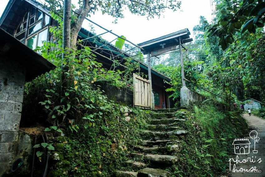 ăn chơi sapa, điểm danh top homestay sapa giá rẻ đẹp không thể bỏ lỡ!