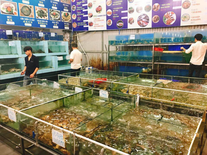Top với hơn 80 về mô hình bán hải sản tươi sống mới nhất  Tin học Đông Hòa