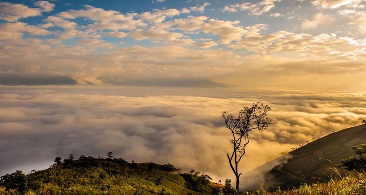 thiên đường mây tà tổng – vẻ đẹp dịu dàng giữa núi rừng lai châu