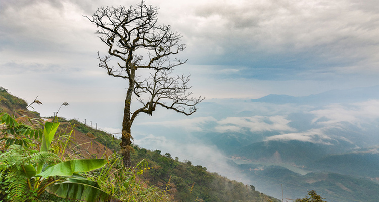 thiên đường mây tà tổng – vẻ đẹp dịu dàng giữa núi rừng lai châu