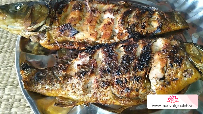 Peshk i pjekur në skarë në petë, këshilla në kuzhinë, 14 mënyra për të marinuar dhe si të bëni peshk të pjekur në skarë të shijshëm dhe tërheqës