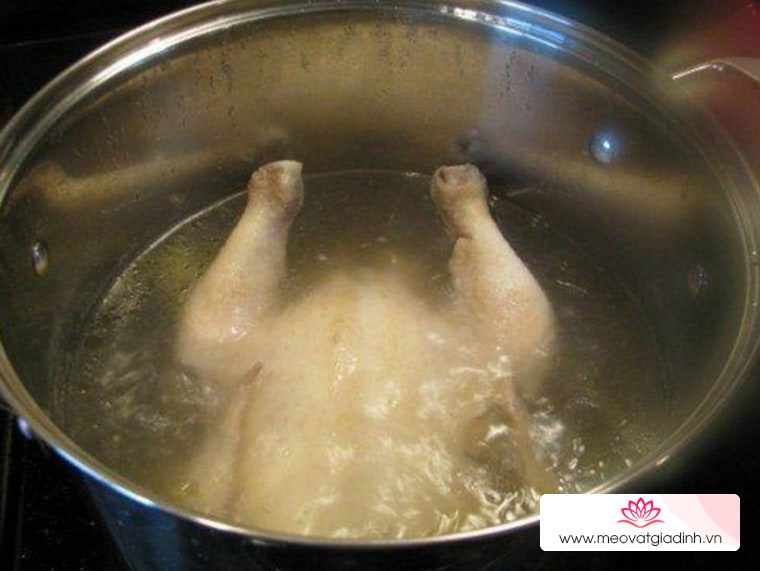 các món nước, cách nấu phở gà, công thức nấu ăn, phở, phở gà, cách nấu phở gà thơm ngon đơn giản tại nhà