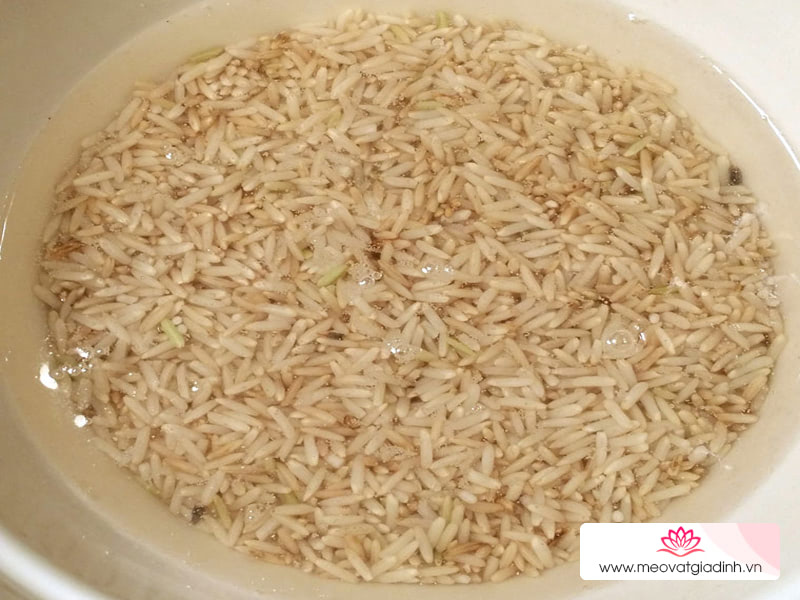 Cách nấu gạo lứt ngon đúng chuẩn bằng nồi cơm điện