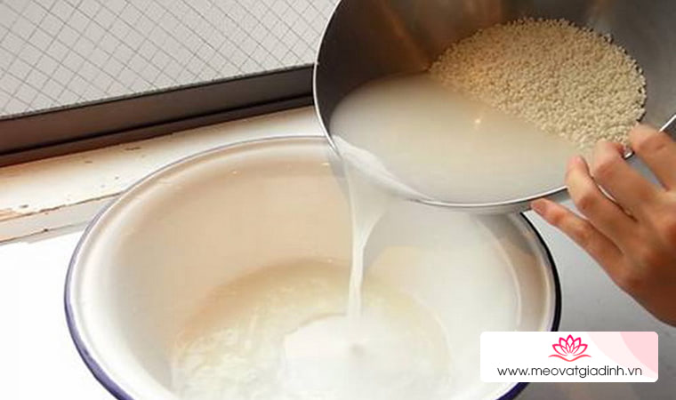 Cách làm sữa gạo thơm ngon bổ dưỡng