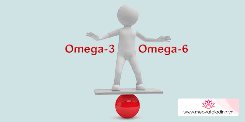công thức nấu ăn, omega, omega 3, omega 6, tỷ lệ omega 6/omega 3 có ý nghĩa gì?