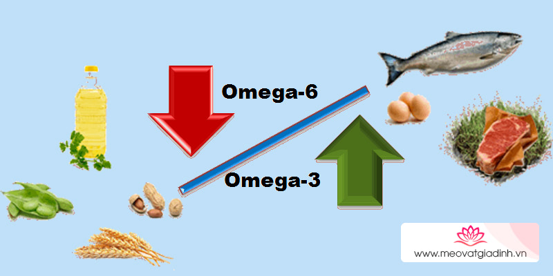 công thức nấu ăn, omega, omega 3, omega 6, tỷ lệ omega 6/omega 3 có ý nghĩa gì?