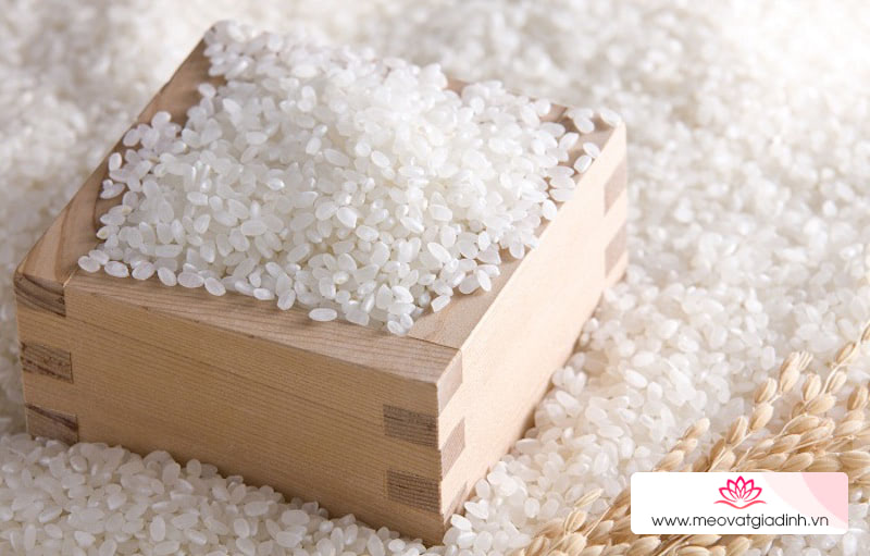 công thức nấu ăn, gạo, gạo tấm, tấm, tìm hiểu về gạo tấm và những lợi ích của gạo tấm trong cuộc sống