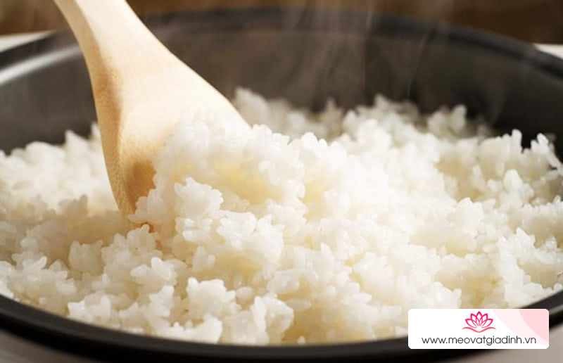 công thức nấu ăn, gạo, gạo tấm, tấm, tìm hiểu về gạo tấm và những lợi ích của gạo tấm trong cuộc sống