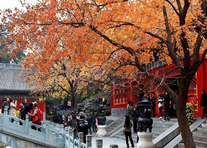 Những công viên nổi tiếng tại Bắc Kinh mà bạn không nên bỏ qua