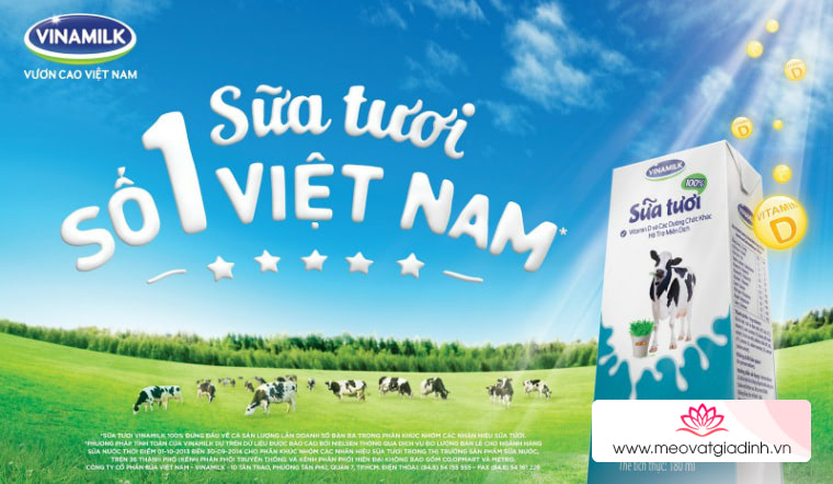 Vinamilk – Thương hiệu sữa tươi hàng đầu Việt Nam có những loại nào?