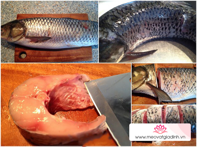 cá trắm, công thức nấu ăn, chà bông, ruốc cá trắm, cách làm ruốc cá trắm thơm ngon, bổ dưỡng cho bé ăn dặm