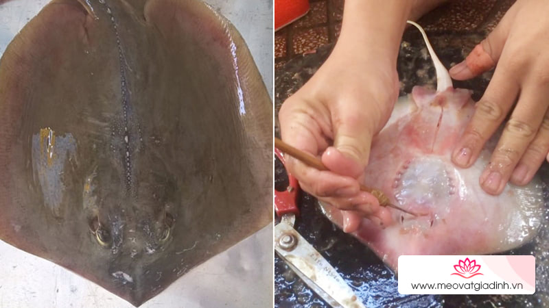 Cách làm cá đuối nướng mỡ hành ngon tê tái