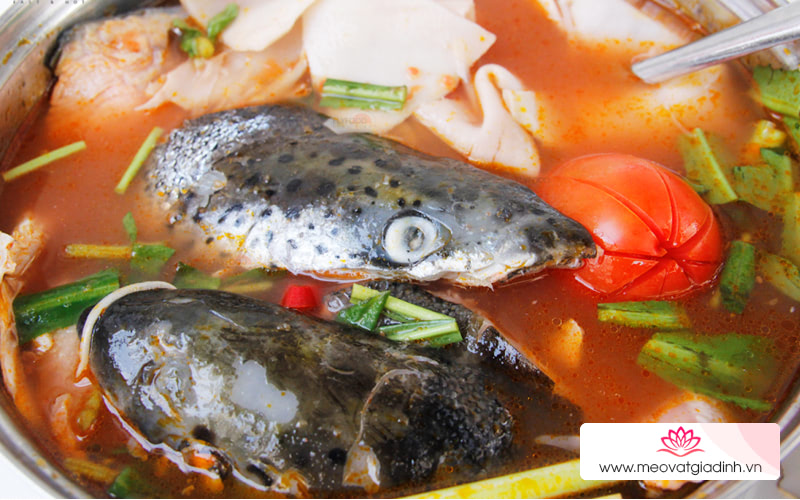 cá hồi, công thức nấu ăn, 10 món ngon và bổ dưỡng từ cá hồi