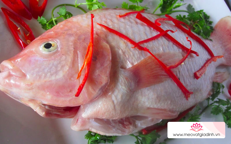 cá diêu hồng, công thức nấu ăn, tổng hợp các món ngon từ cá diêu hồng, ăn mãi không ngán