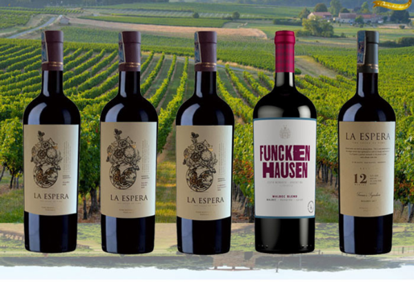 Review Winery.vn nơi bán rượu vang nhập khẩu chất lượng tại TPHCM