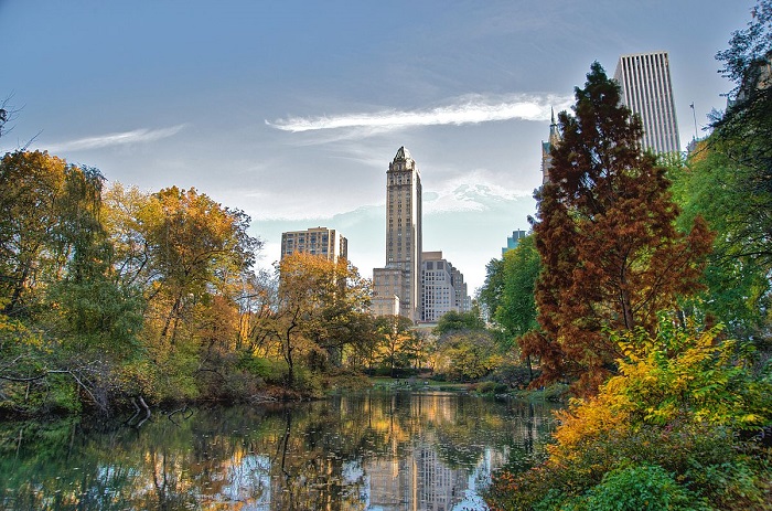 công viên trung tâm central park ở new york có gì mà hấp dẫn khách du lịch đến vậy?